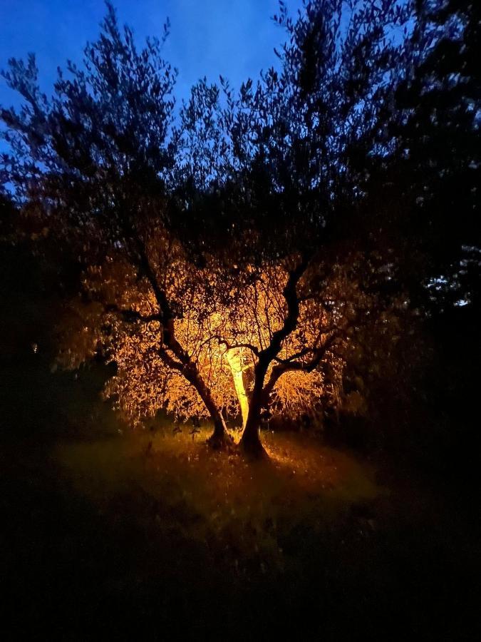 La Casa Nel Bosco Villa Lari Exterior foto