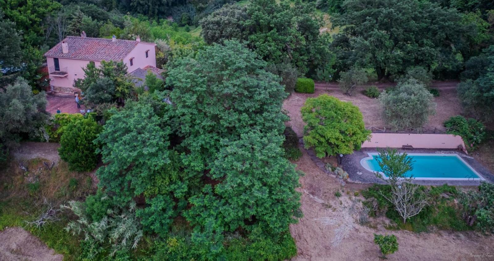 La Casa Nel Bosco Villa Lari Exterior foto
